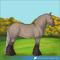 Horse Color:Silver Brown Dun 