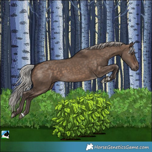 Horse Color:Silver Brown Dun 
