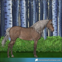 Horse Color:Silver Brown Dun
