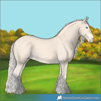 Horse Color:Cremello 