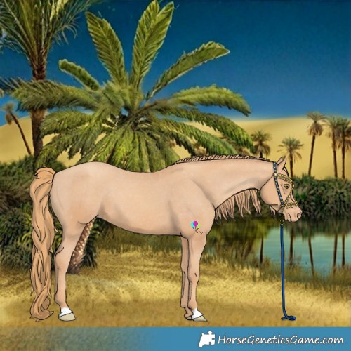 Horse Color:Gold Champagne Varnish