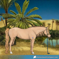 Horse Color:Gold Champagne Varnish 