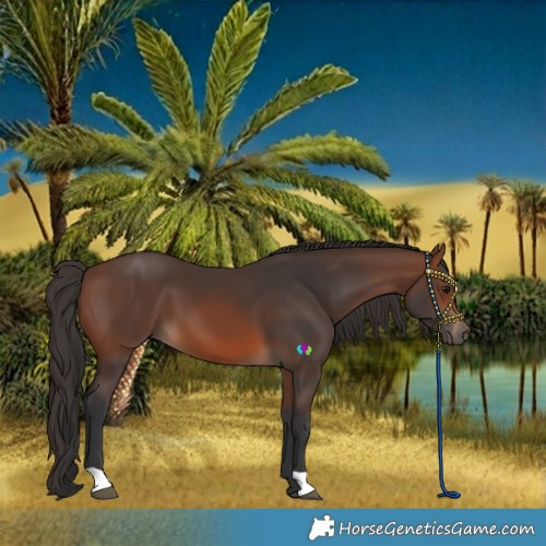 Horse Color:Brown 