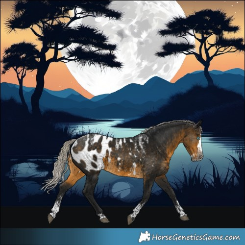 Horse Color:Powder White Gray Silver Pseudo Buckskin Splash Appaloosa 