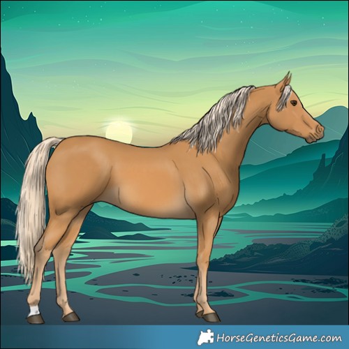Horse Color:Palomino 