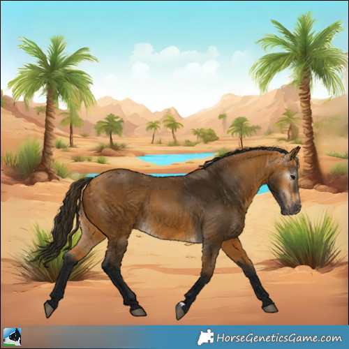 Horse Color:Gray Buckskin