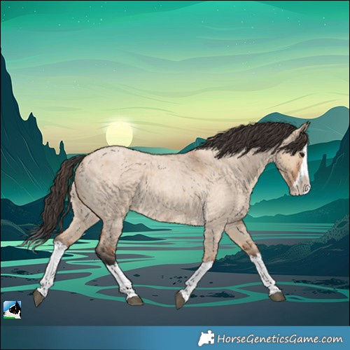 Horse Color:Bay Roan Dun Splash 