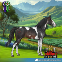 Horse Color:White Spotted Brown Splash Tobiano 