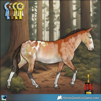 Horse Color:Bay Dun Blanket Rabicano Brindle 