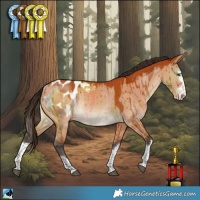 Horse Color:Bay Dun Blanket Rabicano Brindle 