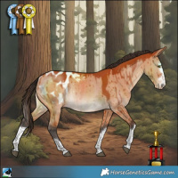 Horse Color:Bay Dun Blanket Rabicano Brindle