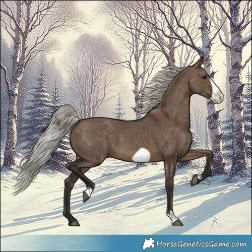 Horse Color:Silver Brown Dun Frame 