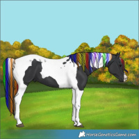 Horse Color:Painted Black Tobiano 