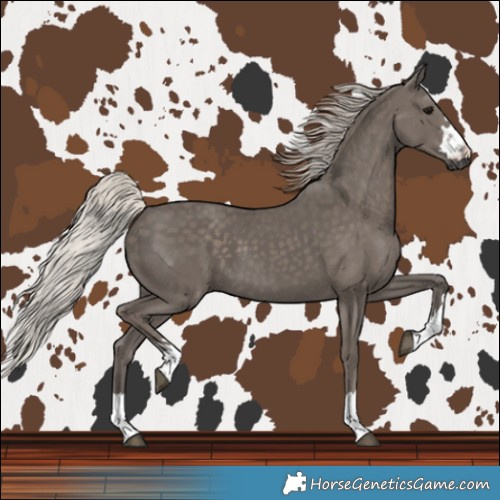 Horse Color:Silver Black