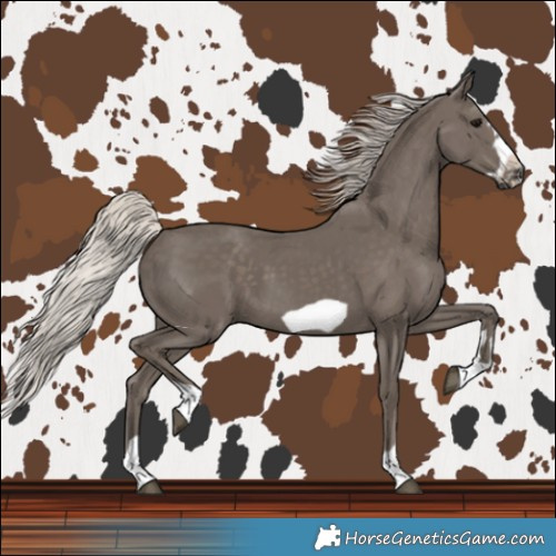 Horse Color:Silver Black Frame 