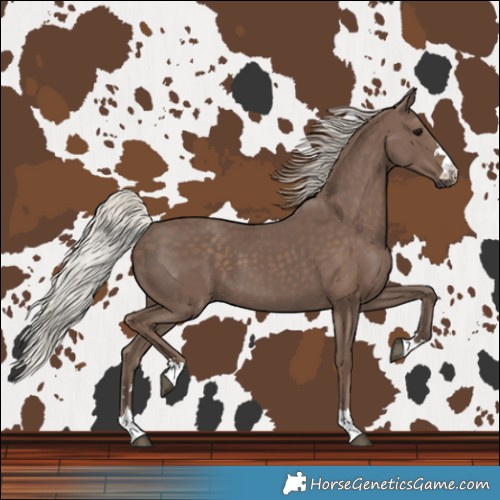 Horse Color:Silver Black