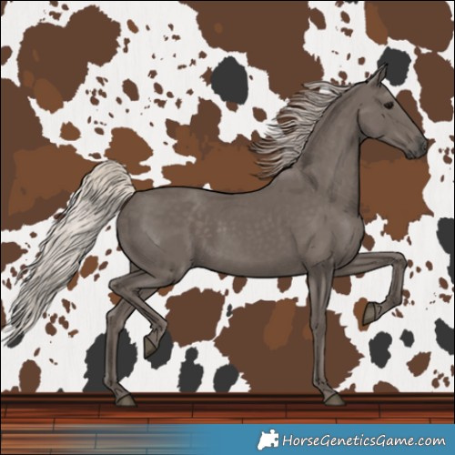 Horse Color:Silver Black 