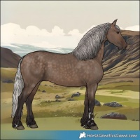 Horse Color:Silver Brown Dun 