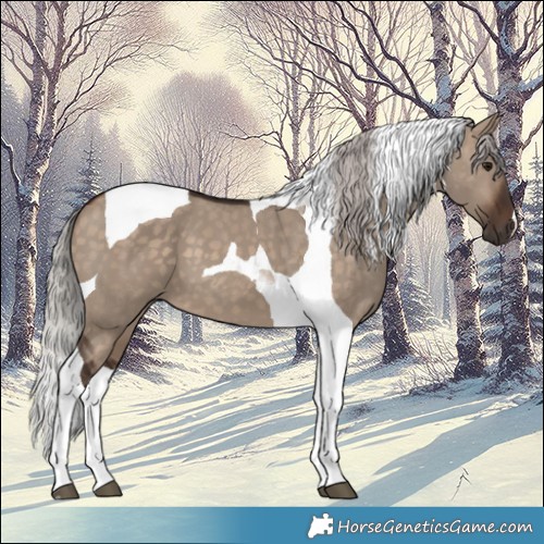 Horse Color:Silver Brown Dun Tobiano