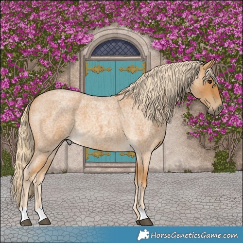 Horse Color:Palomino Roan