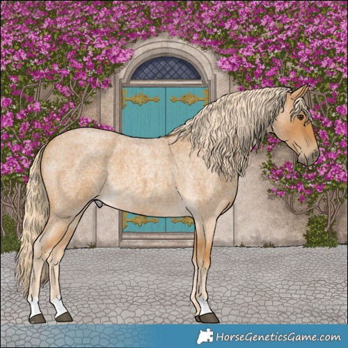 Horse Color:Palomino Roan 