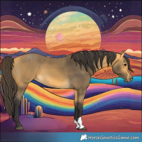 Horse Color:Buckskin