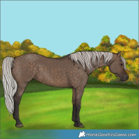 Horse Color:Silver Brown Dun