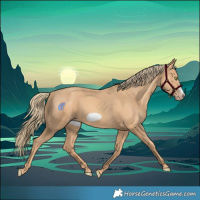 Horse Color:Gold Champagne Frame