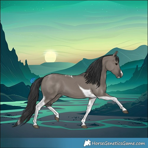 Horse Color:Grullo Splash Tobiano 