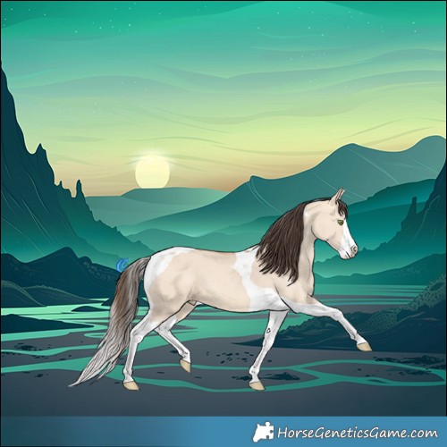 Horse Color:Amber Champagne Dun Splash Tobiano