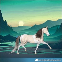 Horse Color:Amber Champagne Dun Splash Tobiano