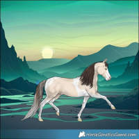 Horse Color:Amber Champagne Dun Splash Tobiano 