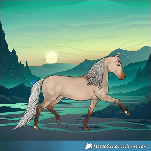 Horse Color:Silver Bay Dun 