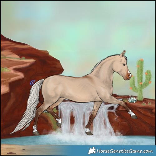 Horse Color:Silver Bay Dun 