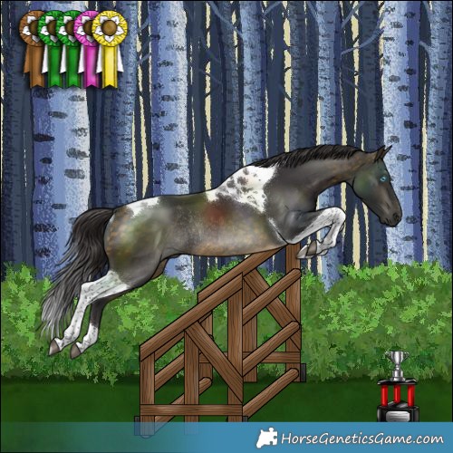 Horse Color:Pseudo Buckskin Tobiano Rabicano 