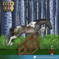 Horse Color:Pseudo Buckskin Tobiano Rabicano
