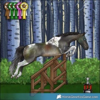 Horse Color:Pseudo Buckskin Tobiano Rabicano 