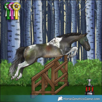 Horse Color:Pseudo Buckskin Tobiano Rabicano