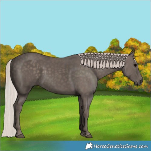 Horse Color:Silver Black 