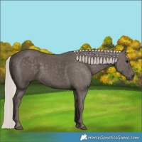 Horse Color:Silver Black 