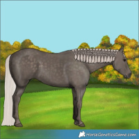Horse Color:Silver Black 