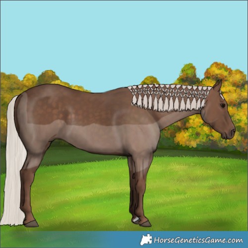 Horse Color:Silver Black 