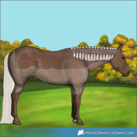 Horse Color:Silver Black 