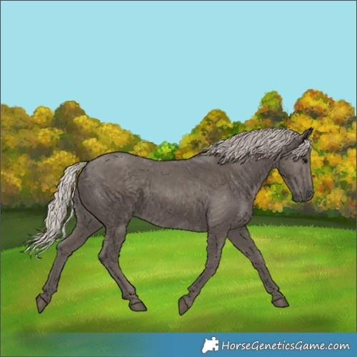 Horse Color:Silver Black 