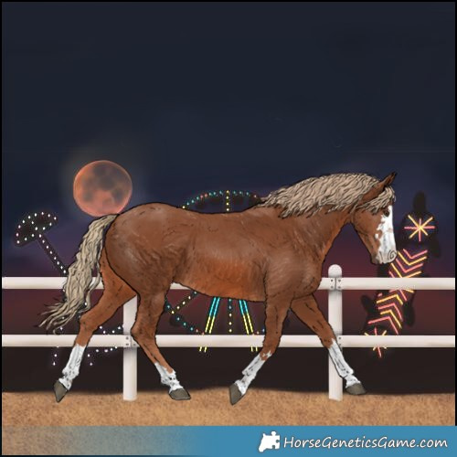 Horse Color:Chestnut 