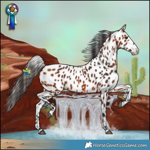 Horse Color:Bay Leopard 