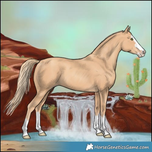 Horse Color:Gold Champagne Splash 