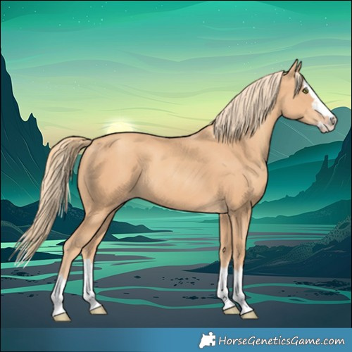 Horse Color:Gold Champagne Splash 