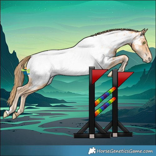 Horse Color:Gold Champagne Appaloosa 