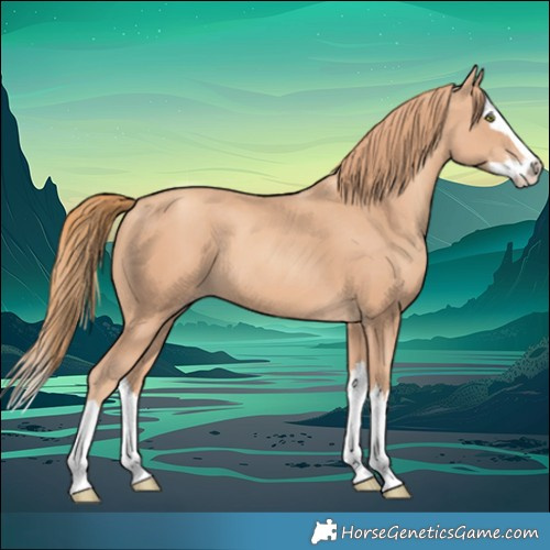 Horse Color:Gold Champagne Splash 